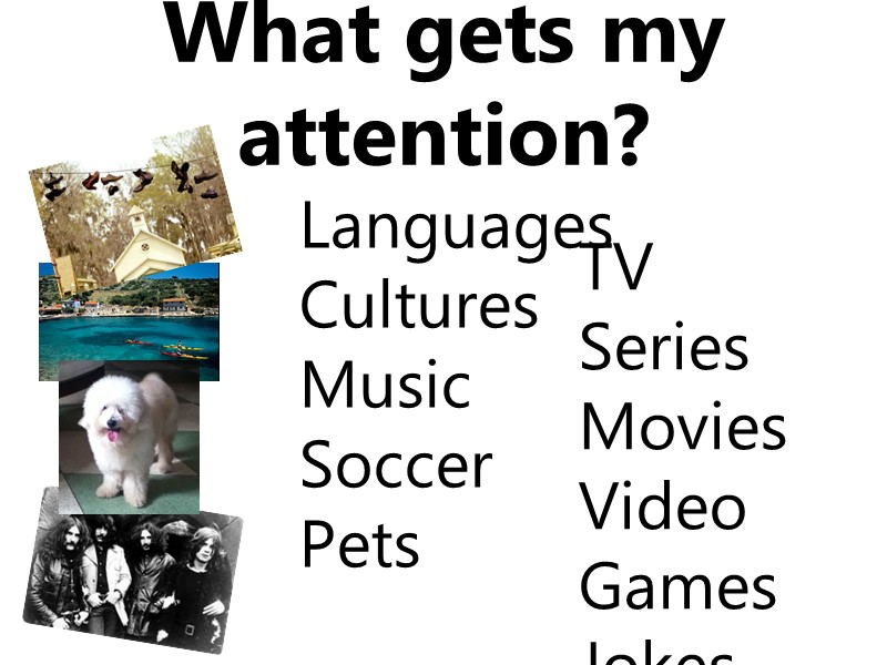 What gets my attention? Languages Cultures Music Soccer Pets TV Series Movies Video Games